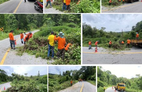 ดำเนินการตัดต้นไม้ถนนห้วยหวด – โคกกลาง
